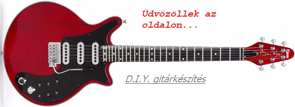 D.I.Y. guitar